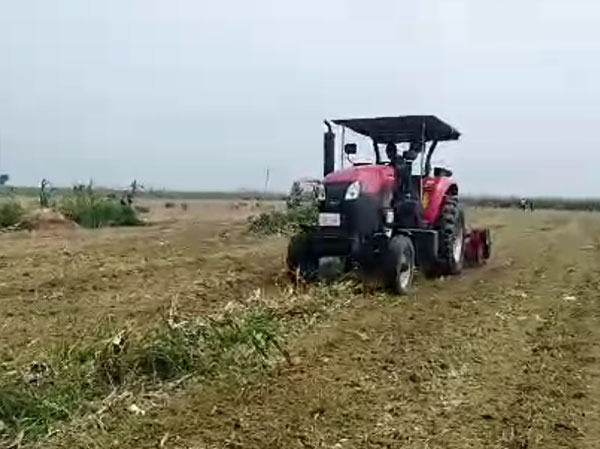 中原地區1JQ-240型甘蔗葉粉碎還田機